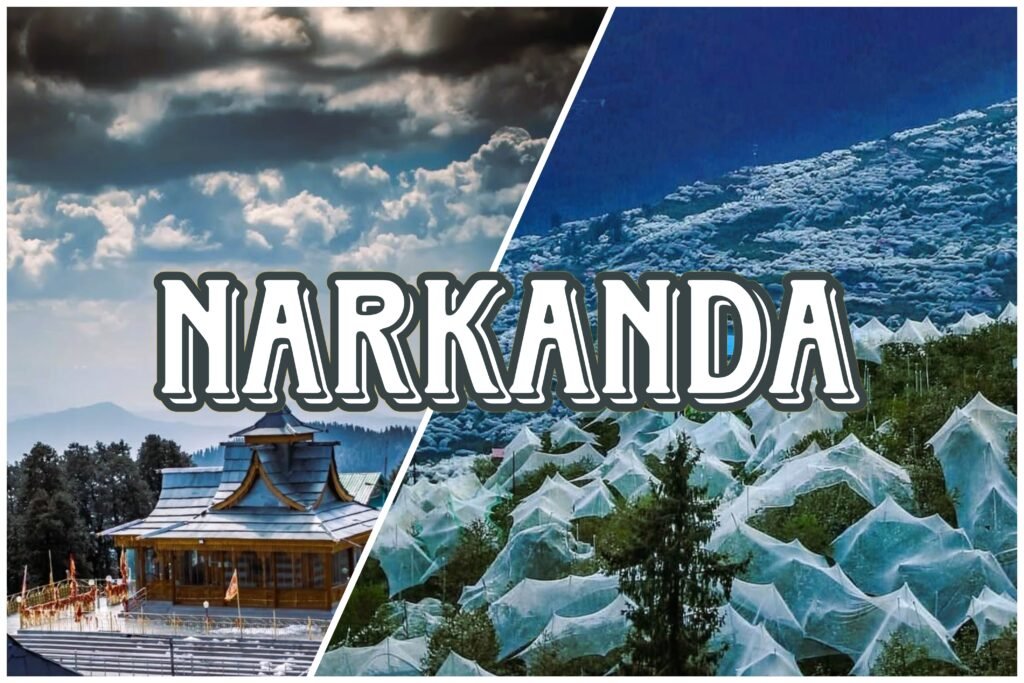 Snow-covered ski slopes and apple orchards in Narkanda