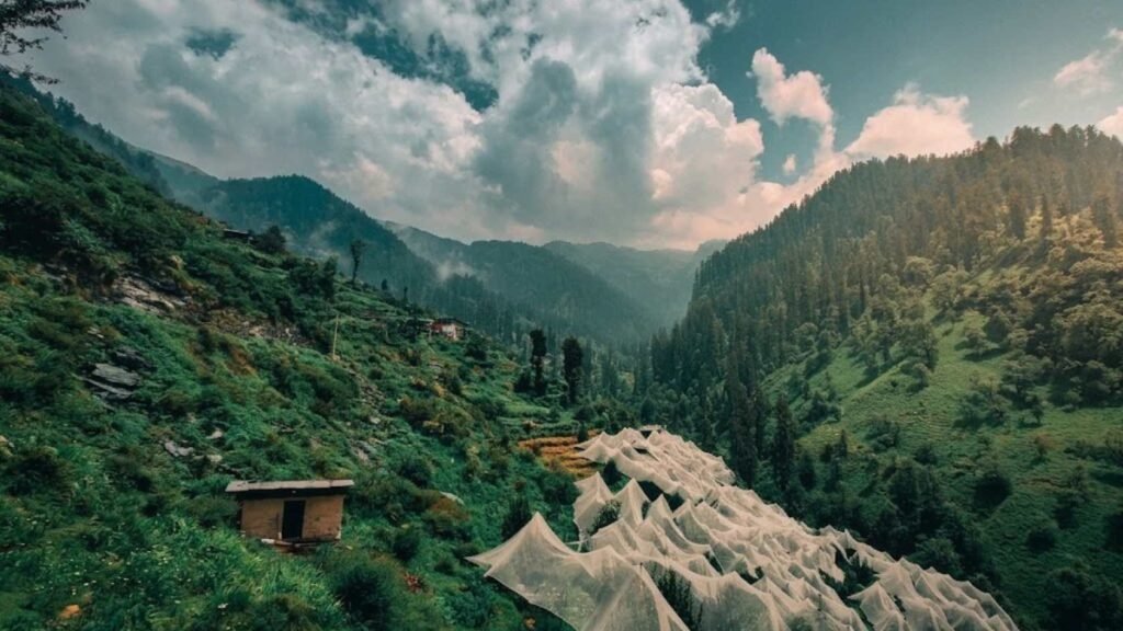 Why Is Jibhi Called the Mini Switzerland of India