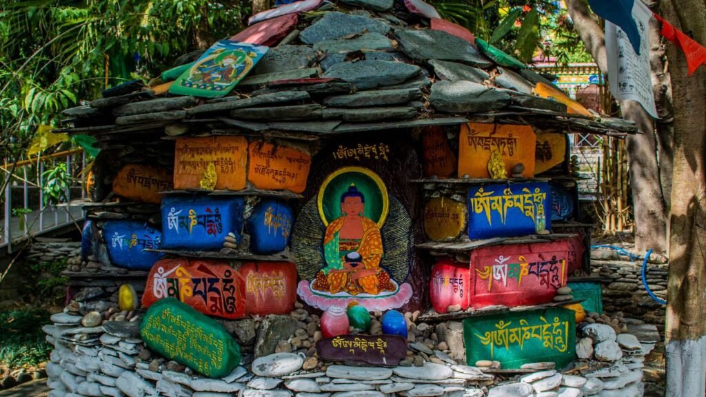 Best Things to Do in Dharamshala in May Besides Triund