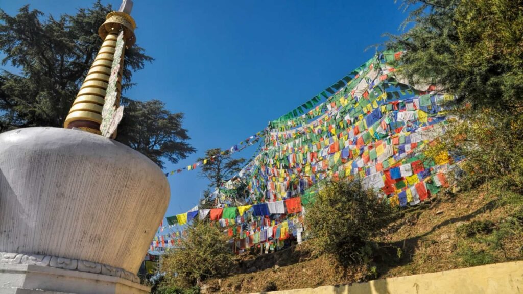 Does It Rain or Feel Too Hot in Dharamshala in May