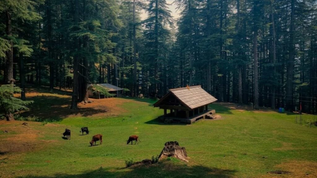 How to Reach Tirthan Valley in May