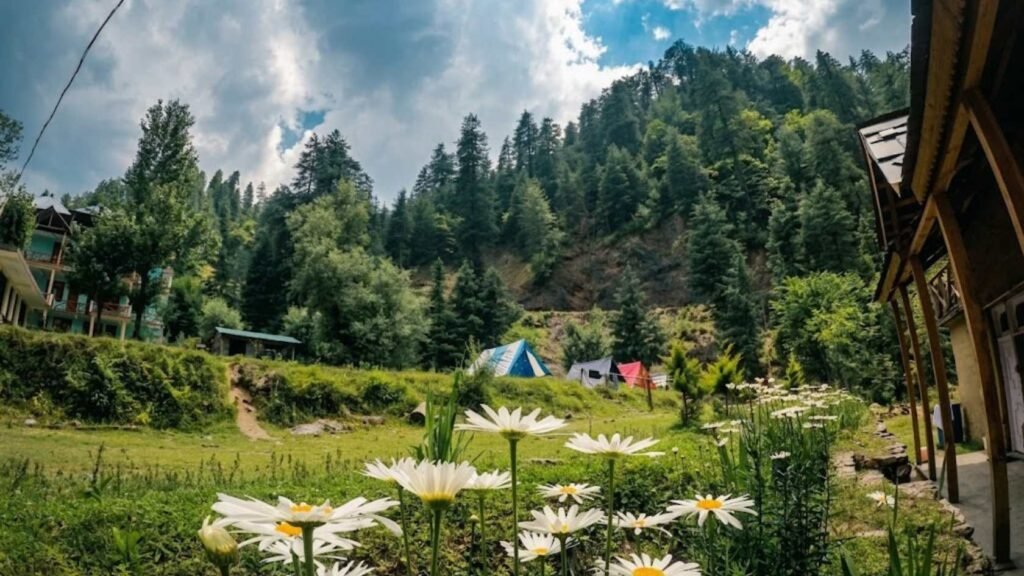 Is Narkanda in May Good for Families, Couples, and Seniors