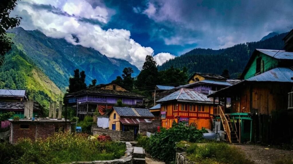 Pulga , Kasol