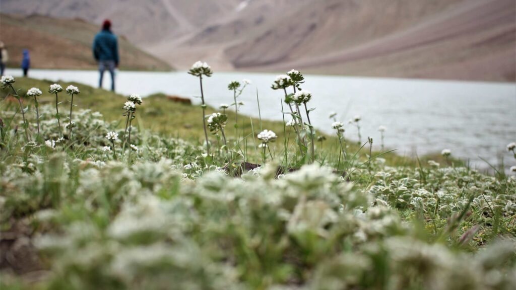 Crystal-clear waters of Chandratal reflecting the beauty of Spiti Valley
