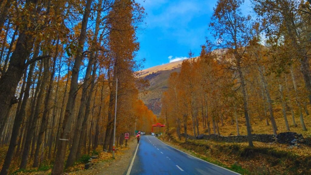 Scenic road in Sissu Manali passing through dense forest trees and beautiful Himalayan landscape