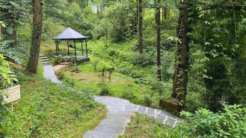 Glen Forest near Shimla offering a refreshing escape into nature, greenery and peaceful landscapes