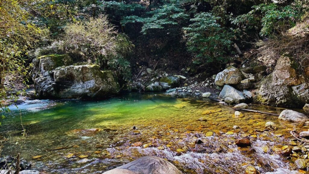 Kulhi Katandi in Jibhi surrounded by rocks, clear water and peaceful forest scenery