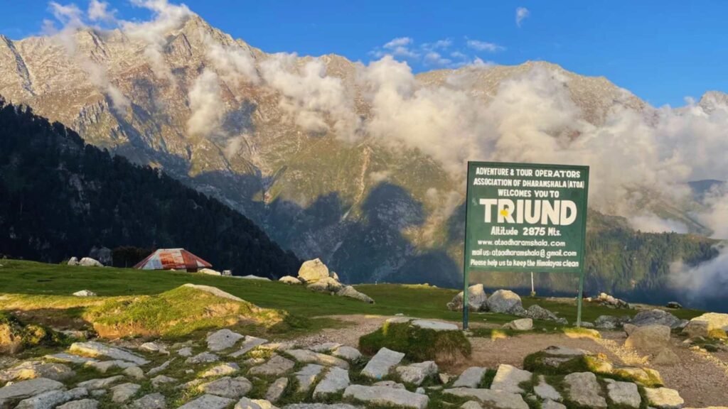 Triund Trek in Dharamshala offering stunning views of the Dhauladhar mountains and Kangra Valley