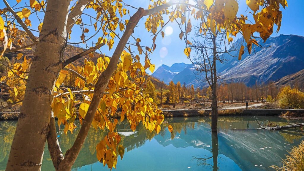 Golden autumn landscape in Sissu Manali