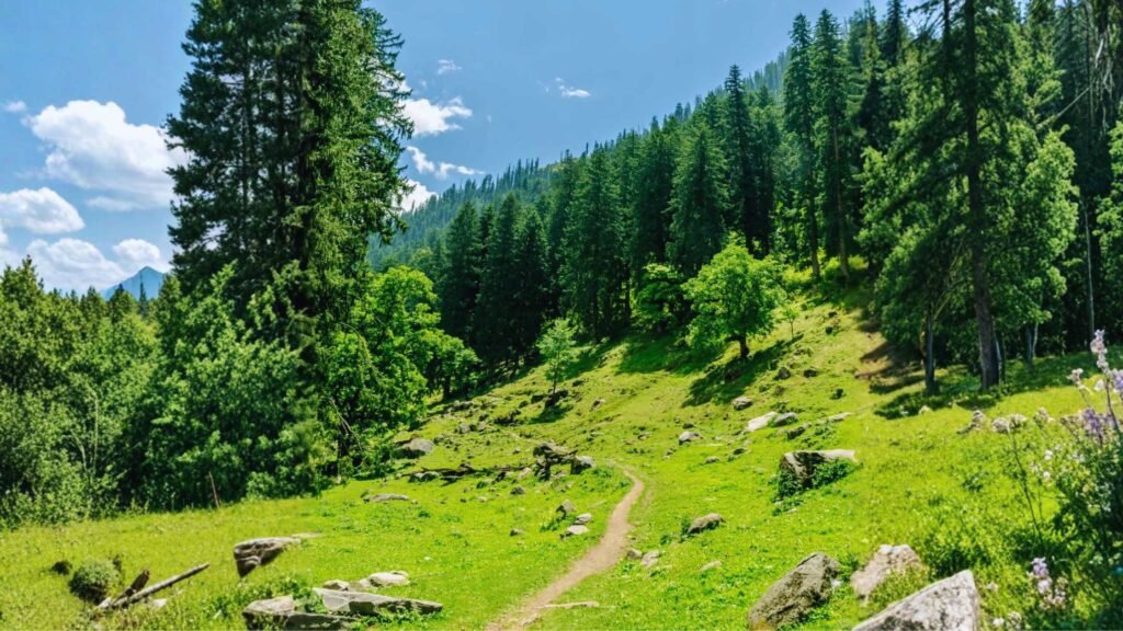 Way to Kheerganga Trek Kasol
