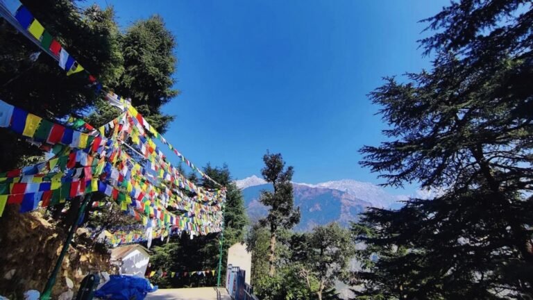 Prayer flags and monastery buildings at Tsuglagkhang Complex and Namgyal Monastery