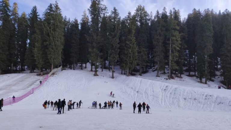 Tourists enjoying snow activities at Narkanda Shimla