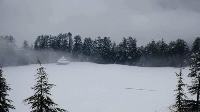 White snow blanketing the peaceful grasslands of Shangarh Meadow near Jibhi and Tirthan Valley